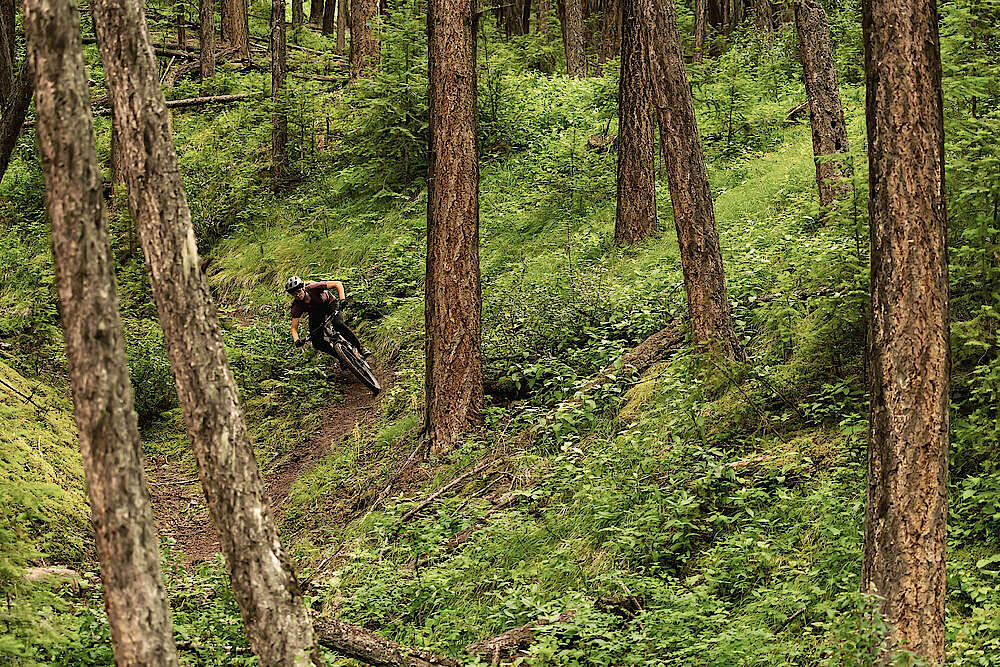 Downhillaction mit Fahrer und Fahrrad im Wald